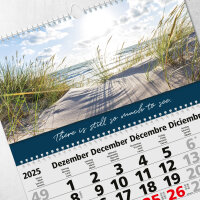 Timr 3-Monatskalender 2026 Bilder - Wandkalender 3 Monate mit Schieber zum Aufhängen - Bildkalender 6 Motive zum wechseln - 81 cm - mehrsprachig D GB F E - tr336