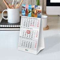 Timr Tischkalender 2026 klein zum Aufstellen - 3 Monatskalender mit Schieber - Kalender für Tisch Büro - Motiv Kontinente I tr359