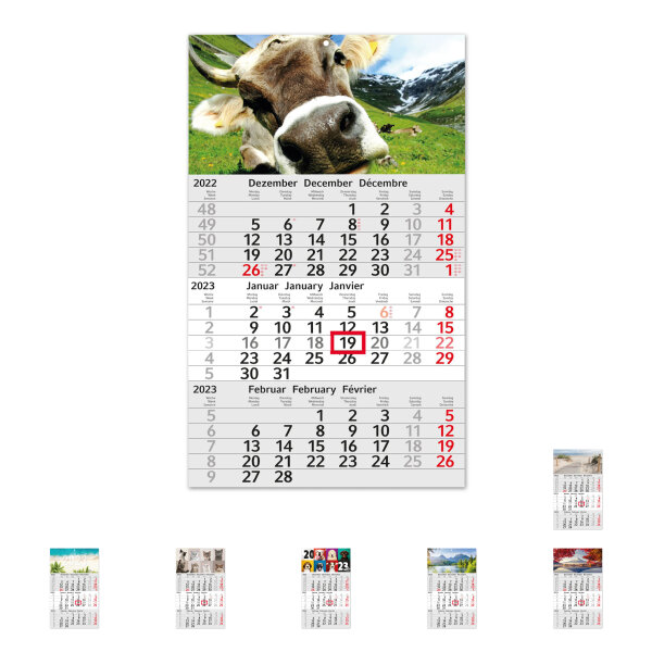 Drei-Monatskalender 2023 I Wandkalender 3 Monate I 30 x 49 cm I mehrsprachig D / GB / F  I  Jahresplaner mit Datumsschieber zum aufhängen