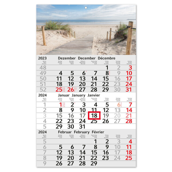 3-Monatskalender 2024 Dünenlandschaft I Wandkalender 3 Monate Einblatt I 30 x 49 cm I mehrsprachig Jahresplaner mit Schieber I tr_196
