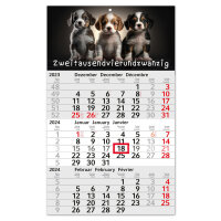 3-Monatskalender 2024 Hund I Wandkalender 3 Monate Einblatt I 30 x 49 cm I mehrsprachig Jahresplaner mit Schieber I Motiv Welpen I tr_200