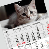 3-Monatskalender 2024 Katze I Wandkalender 3 Monate Einblatt I 30 x 49 cm I mehrsprachig Jahresplaner mit Schieber I tr_194