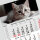 3-Monatskalender 2024 Katze I Wandkalender 3 Monate Einblatt I 30 x 49 cm I mehrsprachig Jahresplaner mit Schieber I tr_194