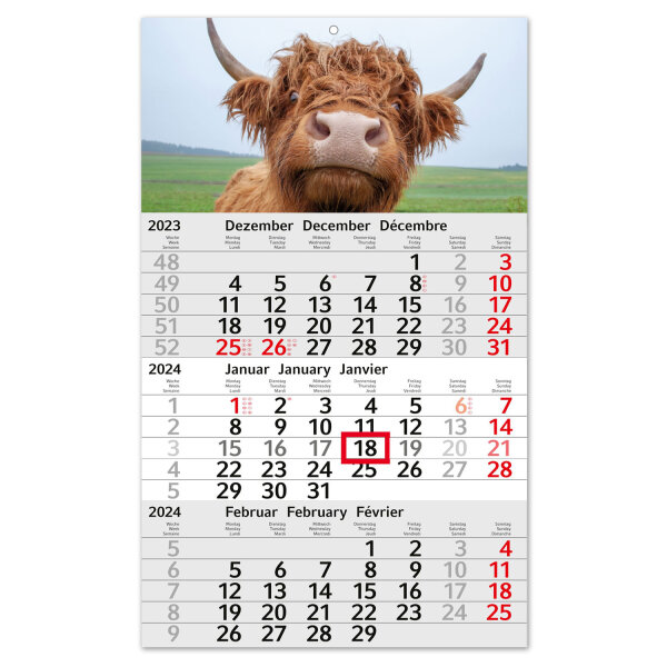 3-Monatskalender 2024 Kuh I Wandkalender 3 Monate Einblatt I 30 x 49 cm I mehrsprachig Jahresplaner mit Schieber I Rind braun I tr_190