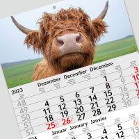 3-Monatskalender 2024 Kuh I Wandkalender 3 Monate Einblatt I 30 x 49 cm I mehrsprachig Jahresplaner mit Schieber I Rind braun I tr_190