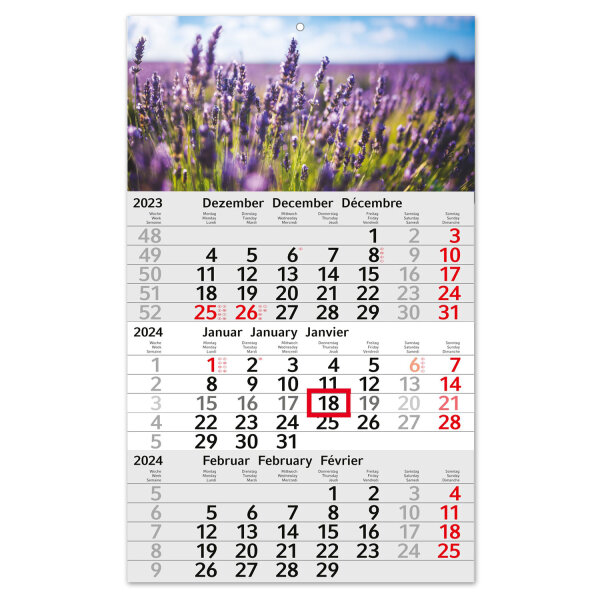 3-Monatskalender 2024 Lavendel I Wandkalender 3 Monate Einblatt I 30 x 49 cm I mehrsprachig Jahresplaner mit Schieber I tr_191