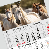 3-Monatskalender 2024 Pferd I Wandkalender 3 Monate Einblatt I 30 x 49 cm I mehrsprachig Jahresplaner mit Schieber I tr_198