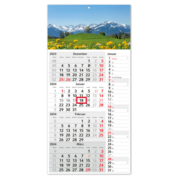 4-Monatskalender 2024 Alpen mit Streifenkalender 4 Monate I 30 x 60 cm I Jahresplaner mit Schieber I Berge Wiese Allgäu Urlaub I tr_167
