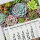 3-Monatskalender 2024 Pflanzen I Wandkalender 3 Monate I 33 x 70 cm I mehrsprachig Jahresplaner mit Schieber I Mehrblatt-Kalender I tr_207