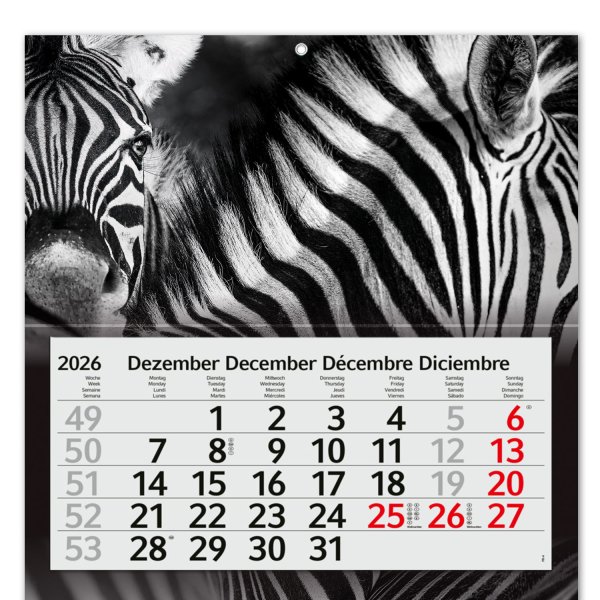 Zebra 2027