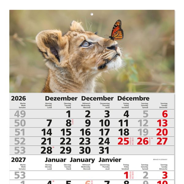 Löwe 2027